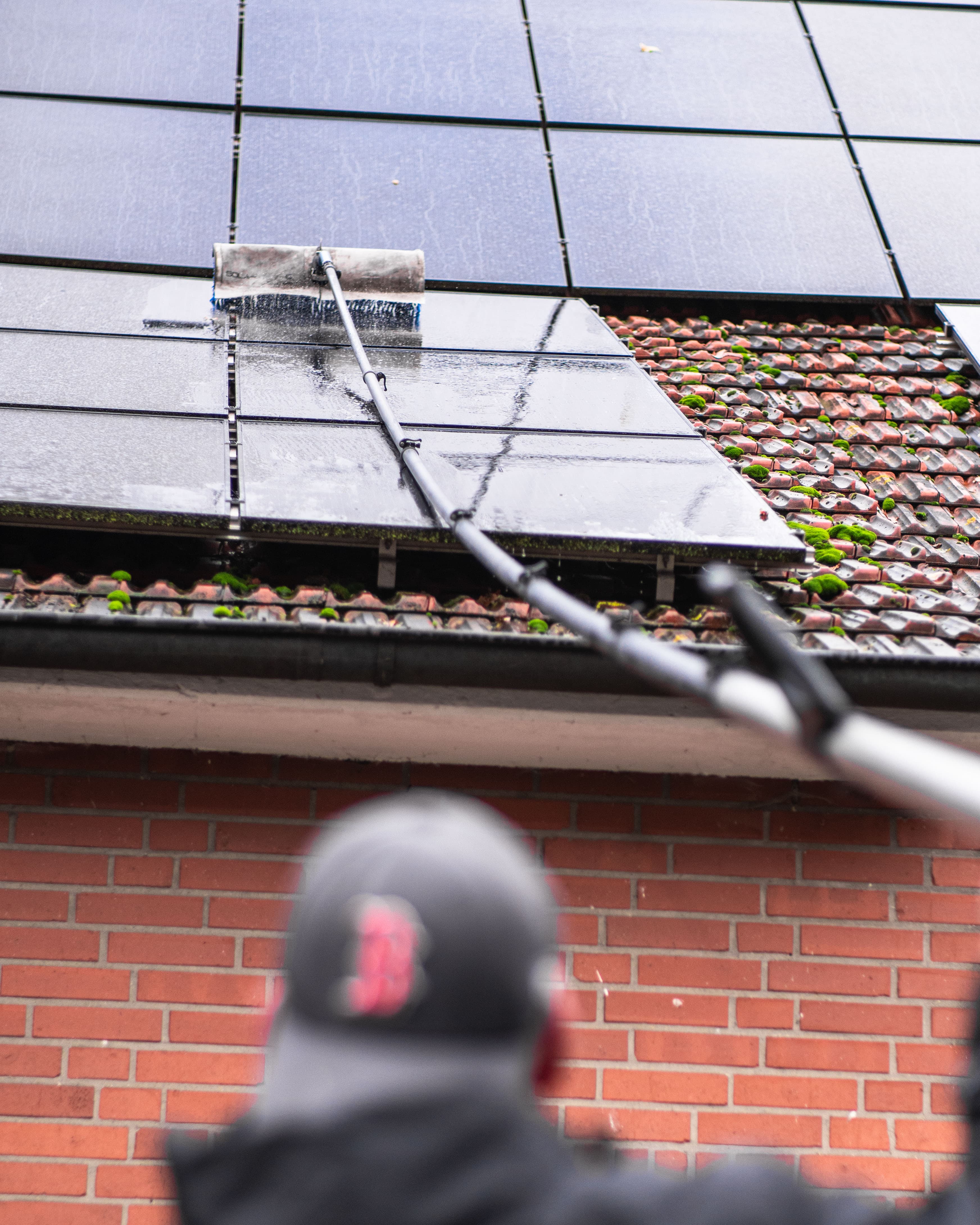 Moos von Solaranlage entfernen – Rheine & Münsterland