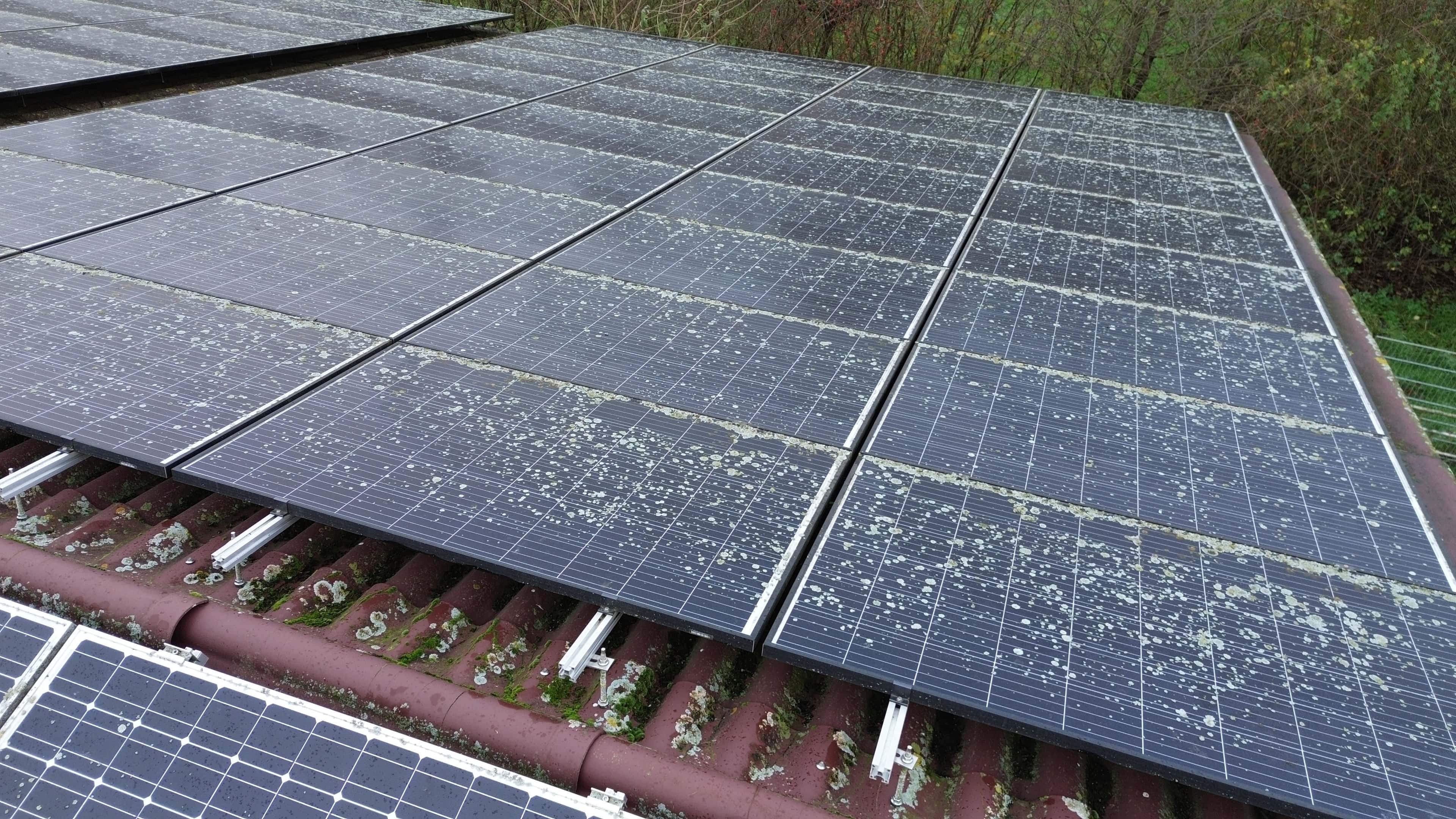 Flechten von Solaranlage entfernen in Rheine